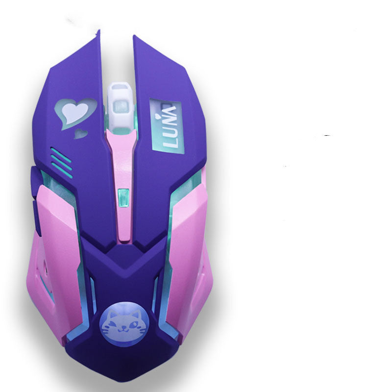 Wireless Silent Gaming Mouse