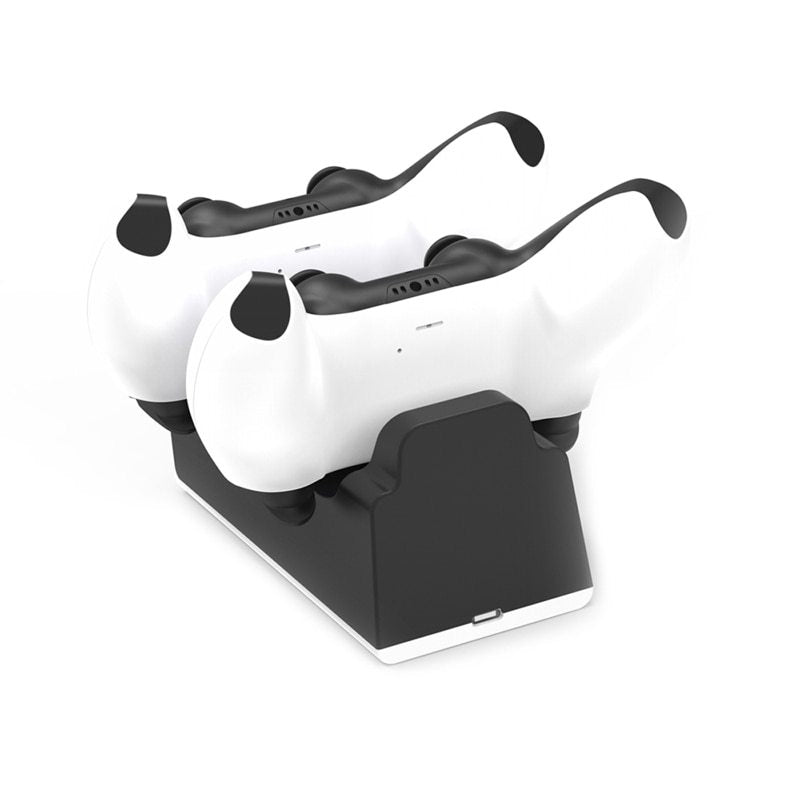 PS5 Dual Controller Charger